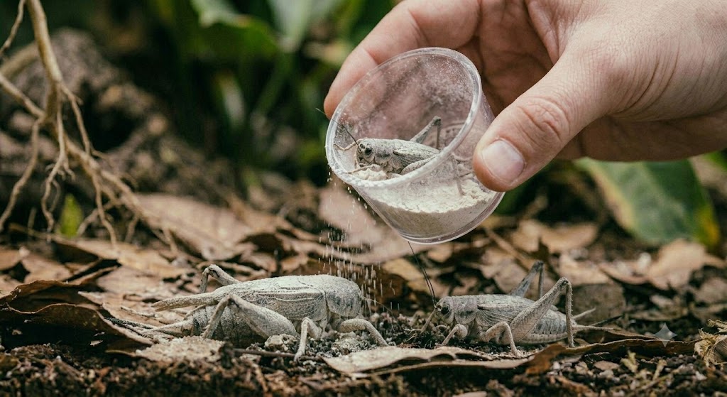 L’UVB : la source la plus naturelle de D3